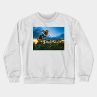 Sunflowers Crewneck Sweatshirt